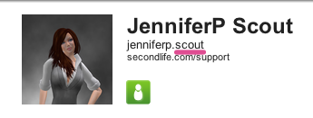 Scout support username.png