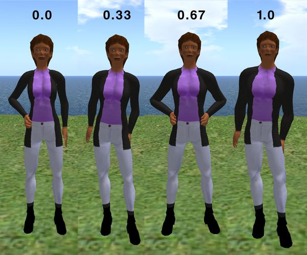 Effect of "male" (id=80) parameter on the library "Ruth" avatar's shape, 0.0 and 1.0 are the standard female and male settings available in the shape editor.