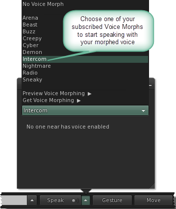 Choose a voice morph.png