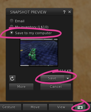 Snapshot button - Save to my computer - Save.png