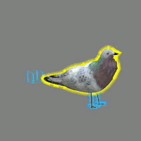 Animated pigeon.gif