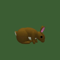 Animated bunny.gif