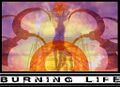 Burning Life promo 08 1.jpg