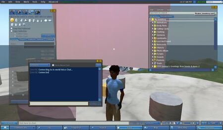 Viewer Skins/Retro - Second Life Wiki