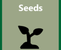 Products-Seeds-512x512-512x423.png