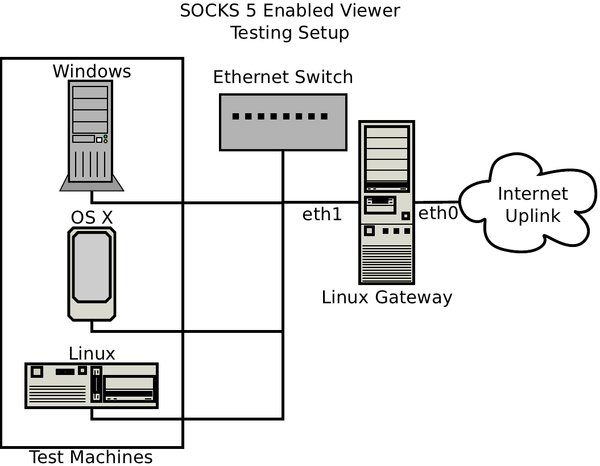 SOCKS Testing Network Setup