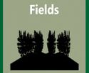 Fields-512x512-2-512x423.jpg