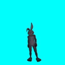 Registration-avatar-animations-chroma-1.png