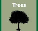 Products-Trees-512x512-512x423.png