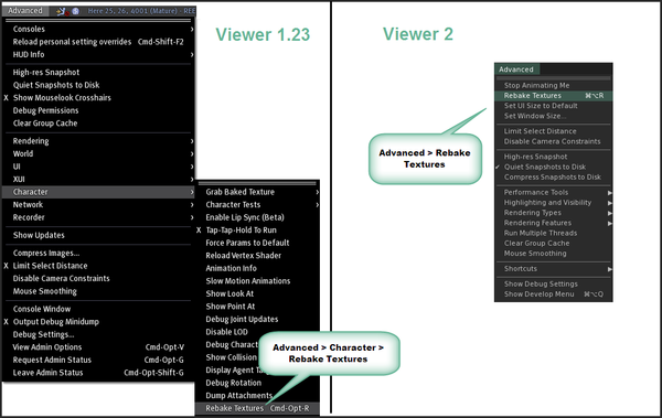 Viewer2Tips-Avatar-RebakeTextures.png